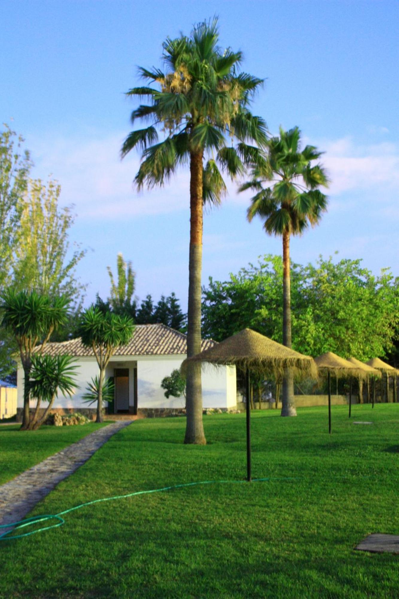 Camping Sierra De Las Nieves Yunquera Exterior photo